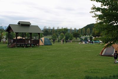 IMG_5045 008-011camp.jpg