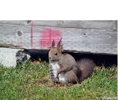 dsc_1906-045bg08.jpgのサムネール画像