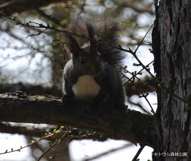 DSC_2475-004bg04.jpgのサムネール画像